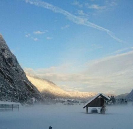 Vihar Apartmaji Bohinj Esterno foto
