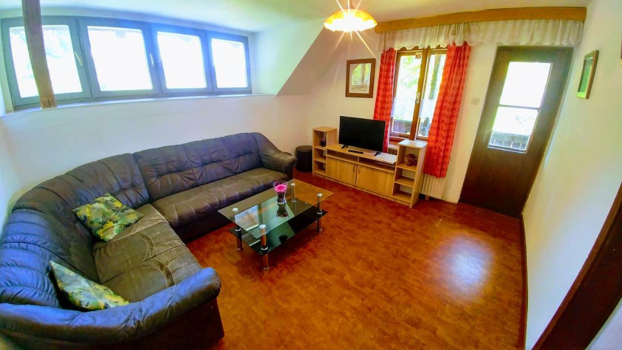 Vihar Apartmaji Bohinj Esterno foto