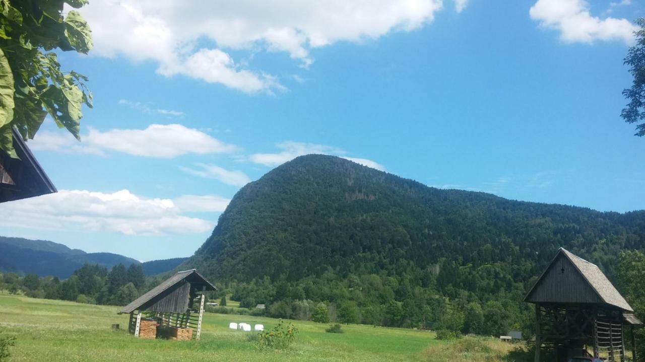 Vihar Apartmaji Bohinj Esterno foto