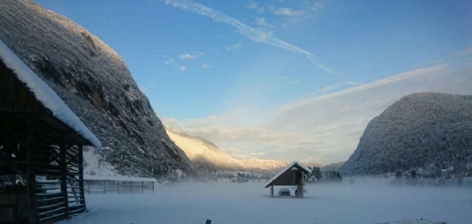 Vihar Apartmaji Bohinj Esterno foto